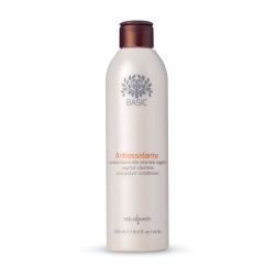 Condicionador Antioxidante 250 ML