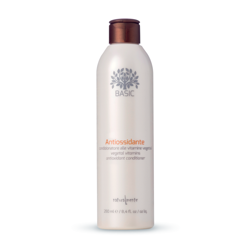 Condicionador Antioxidante 250 ML Condicionador Antioxidante 250 ML