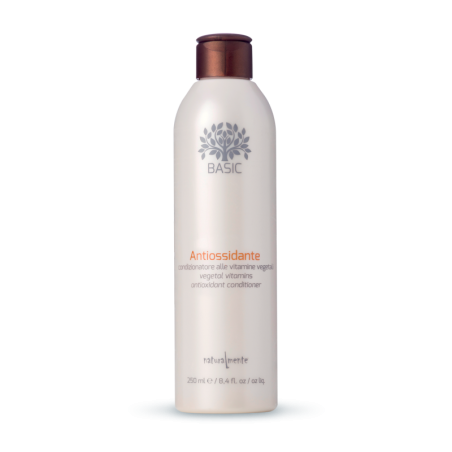Condicionador Antioxidante 250 ML