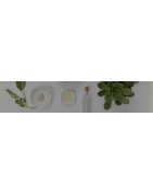 Os melhores Shampoos de cosmética natural e orgânica